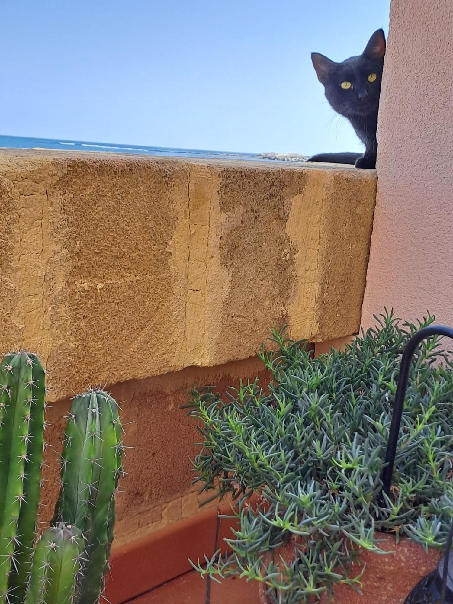 La Casa Sulla Spiaggia Marzamemi Exterior foto